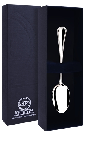 ЛОЖКА 925